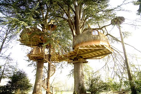 2. Les Ormes. Tree House